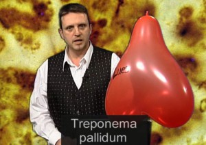 Treponema pallidum Syphilis Lues